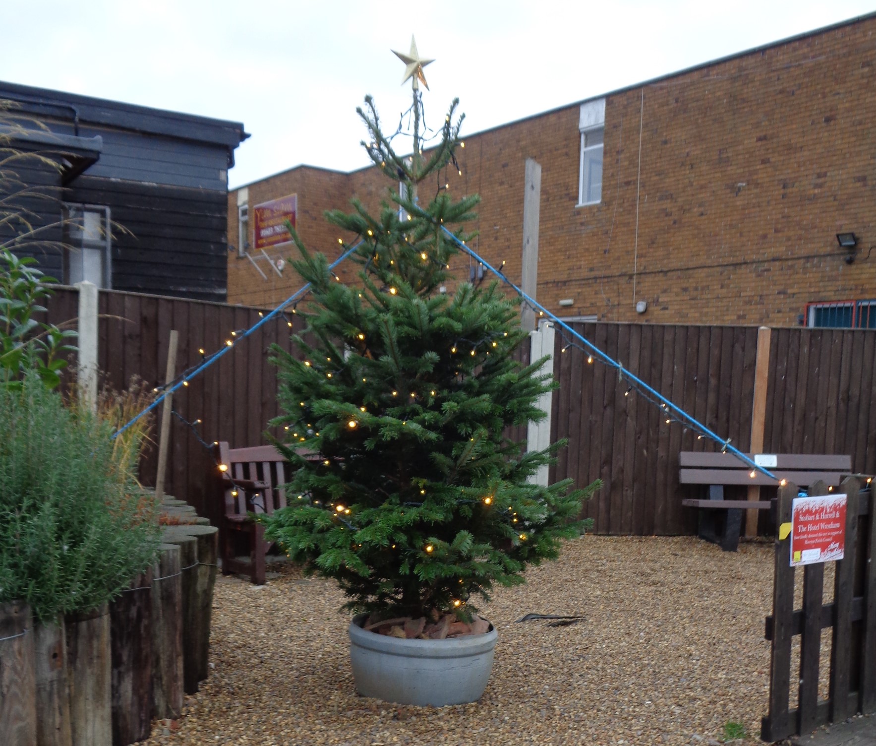 Christmas Tree 2018